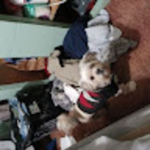 Meet your Posher, Kim